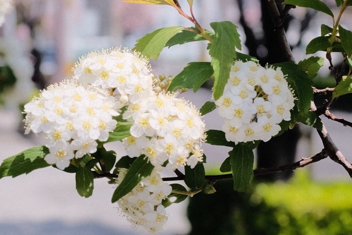Τα ζώδια σήμερα 7/3: Η ευελιξία θα σε βοηθήσει
