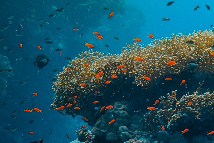 Η «βυθισμένη πολιτεία» που κρύβει σπίτια, δρόμους και μια ολόκληρη γέφυρα