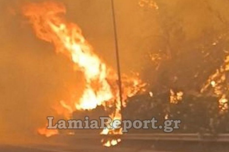 Βίντεο από τη φωτιά στο Ακραίφνιο: Οχήματα περνούν δίπλα από τις φλόγες στην εθνική οδό - Δείτε το συγκλονιστικό βίντεο