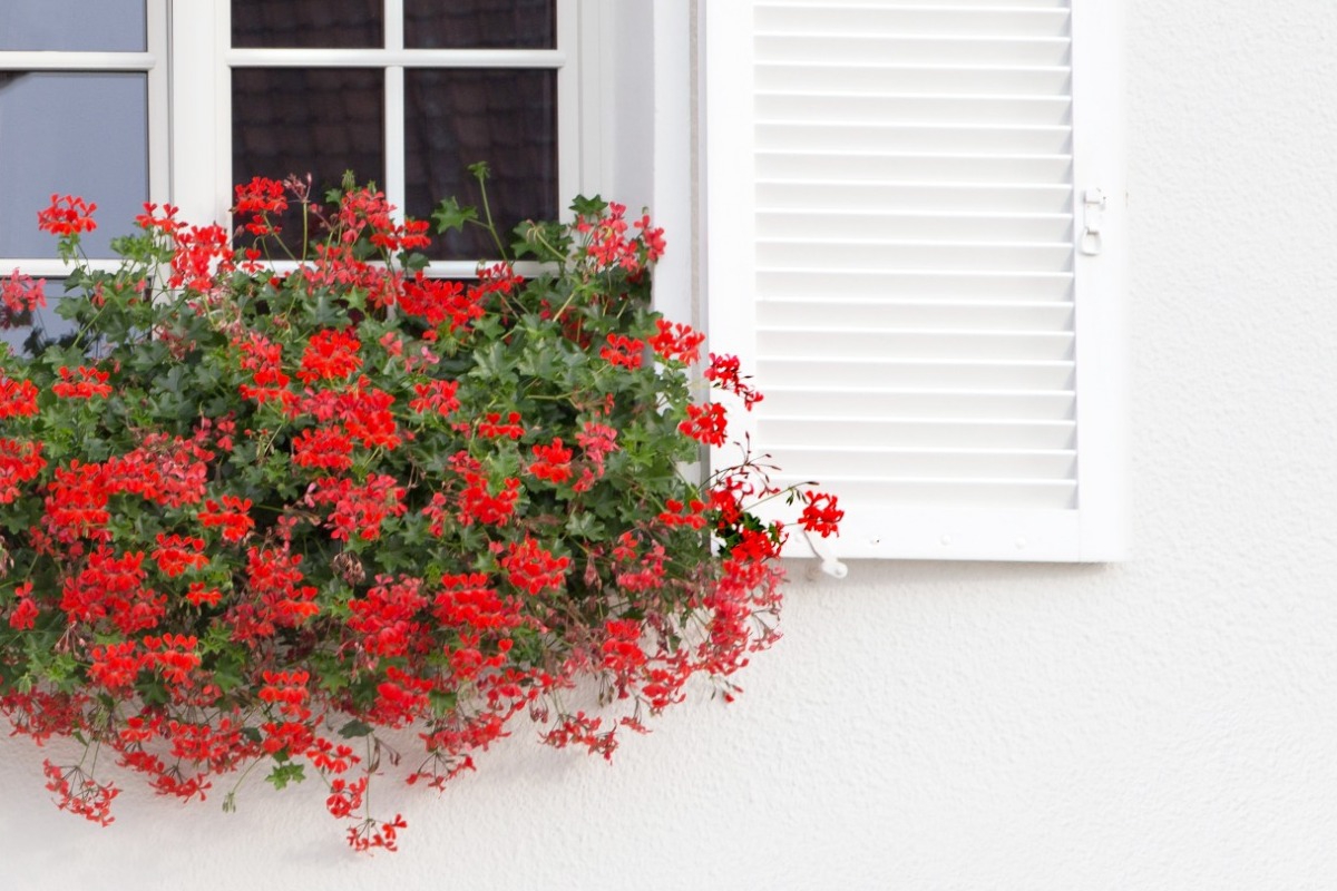 Τα ζώδια σήμερα 5/4: Η επικοινωνία σήμερα λύνει κόμπους