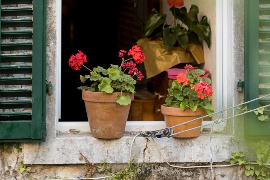 Τα ζώδια σήμερα 12/3: Ασε το χρόνο να κάνει τη δουλειά του