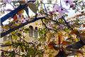 8+1 ιδέες για καλό Πάσχα στη Θεσσαλονίκη
