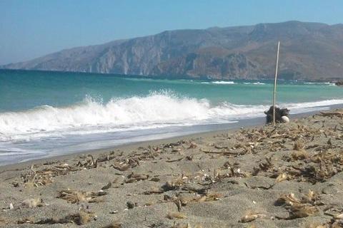 Καλοκαιρινός ο καιρός το τριήμερο του Αγίου Πνεύματος