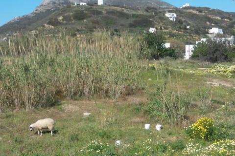 Ο καιρός το τετραήμερο των διακοπών του Πάσχα