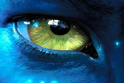 Το Avatar ``πρωταθλητής`` στα torrent downloads για το 2010!