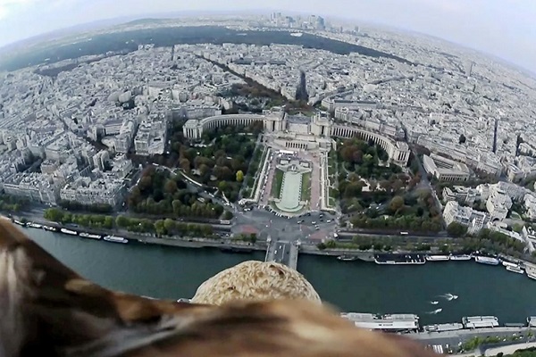 Τι βλέπει ένας αετός πάνω από το Παρίσι - Ένα εντυπωσιακό video - Με μία κάμερα στην πλάτη...