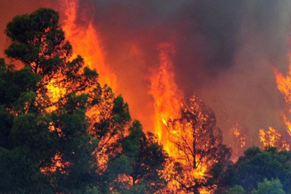 Μεγάλη φωτιά στη Χίο - Στο νοσοκομείο 6 άτομα με εγκαύματα  - Πολύ ισχυροί οι άνεμοι στην περιοχή...