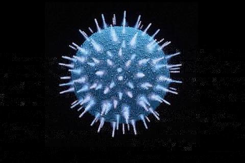 Αφοπλίζοντας τον HIV...