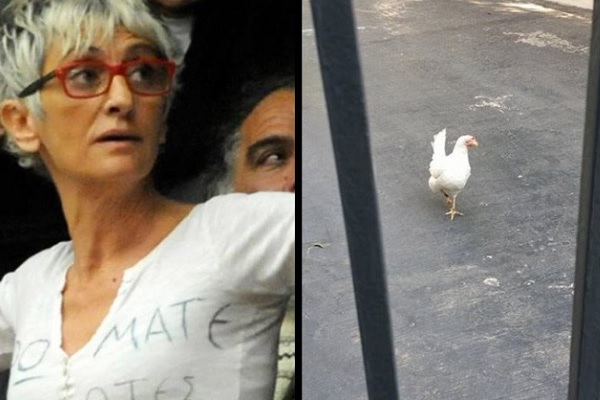 Μία κότα στο Μέγαρο Μαξίμου: Το χρονικό ενός... προαναγγελθέντος «εγκλήματος»!