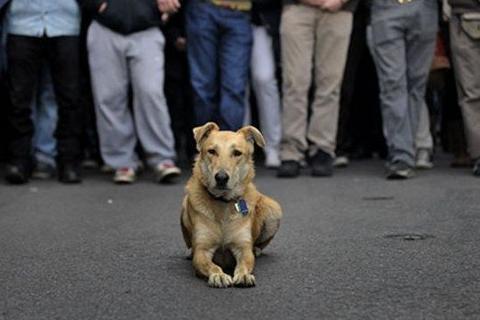 Το video με το Λουκάνικο στην πρώτη σε δημοφιλία θέση στο site του BBC!