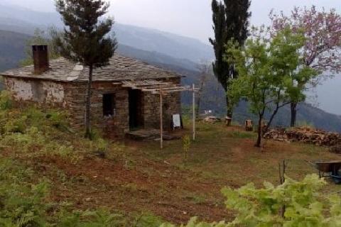 ΕΛΛΑΔΑ 2012: Βοσκός από την Κρήτη στη λίστα των... μεγαλοοφειλετών!