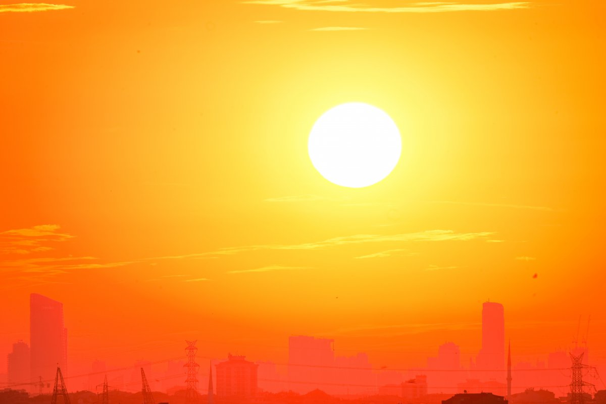 Ρεκόρ θανάτων από καύσωνα: 3.000 στο Βέλγιο, 16.300 στη Γερμανία