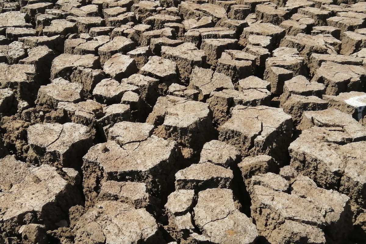 Τρομακτική πρόβλεψη: Θα πεθάνουν 450.000 άνθρωποι το επόμενο εξάμηνο λόγω El Niño - Οι επιστήμονες προειδοποιούν ότι το ακραίο κλιματικό φαινόμενο θα πλήξει σφοδρά δεκάδες χώρες, ασκώντας τεράστια πίεση στα συστήματα υγείας και την πα