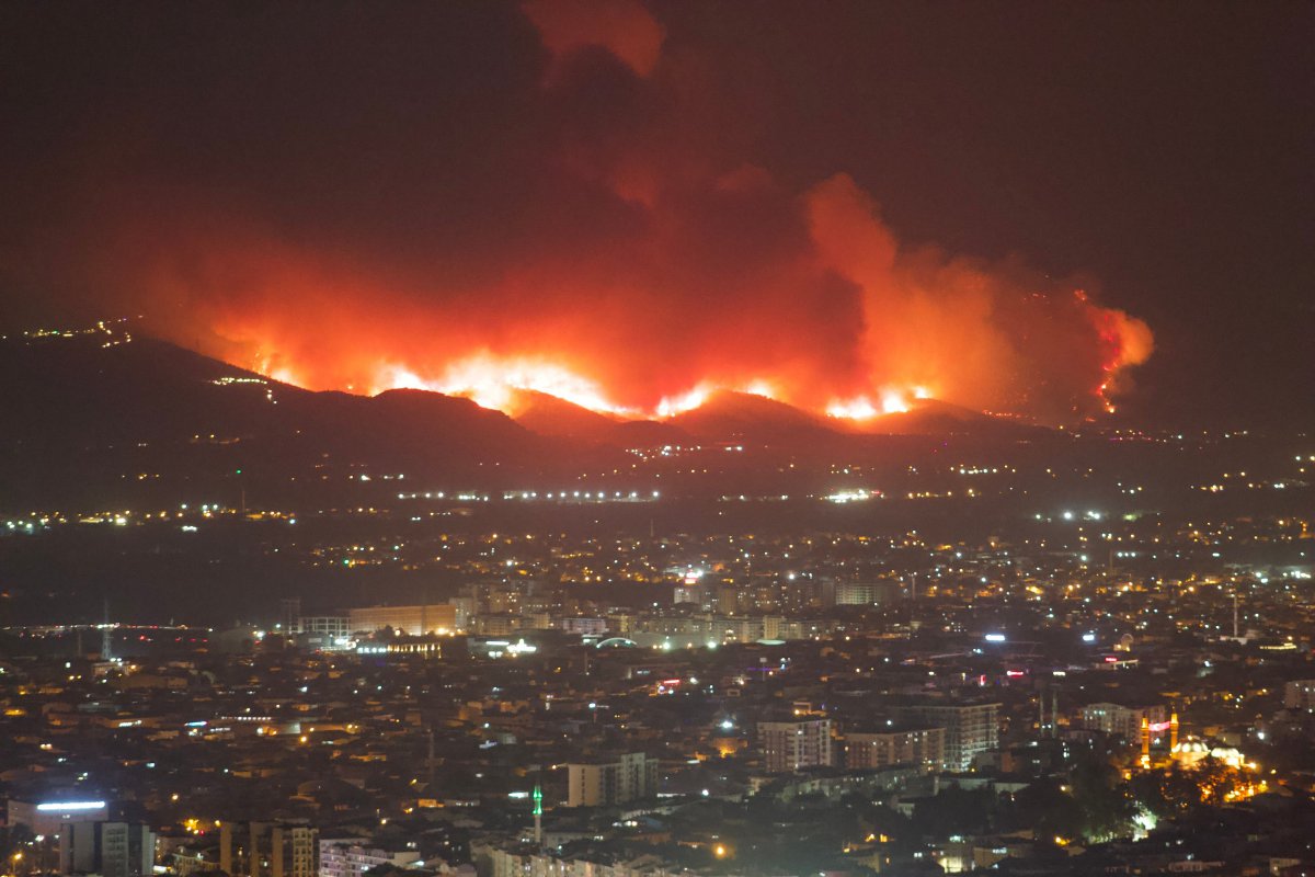 Ακραίος κίνδυνος πυρκαγιάς σήμερα: Ποιες περιοχές βρίσκονται στο «κόκκινο» με ανέμους έως 9 μποφόρ - Έξι περιοχές της χώρας τίθενται σήμερα σε καθεστώς ακραίου κινδύνου, με τους βοριάδες να αναμένεται να φτάσουν έως και τα 9 μποφόρ το επόμενο 48ωρο.