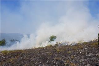 Πυρκαγιά στη Ζάκυνθο στην περιοχή Ελιές: Εκκένωση με μήνυμα 112, καίει σε δασική έκταση