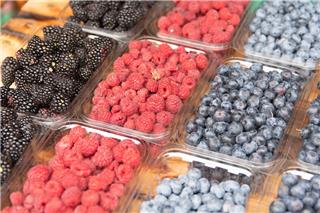 Κατεψυγμένα μούρα στο smoothie: Ο νοροϊός μπορεί να αντέξει την κατάψυξη - Τι κάνετε πρώτα
