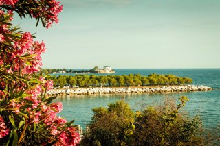 Οι «επικίνδυνες» παραλίες της Αττικής ‑ Πού και πώς μπορείτε να κολλήσετε E. coli