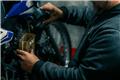 Η «ροζ βενζίνη» μπήκε στα πρατήρια – Τι είναι και ποια αυτοκίνητα μπορούν να τη χρησιμοποιήσουν