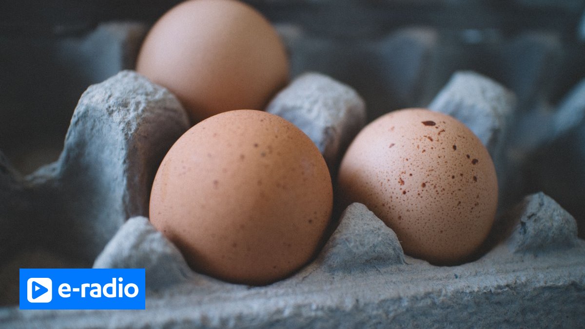 Regular egg consumption may reduce the risk of developing Alzheimer's