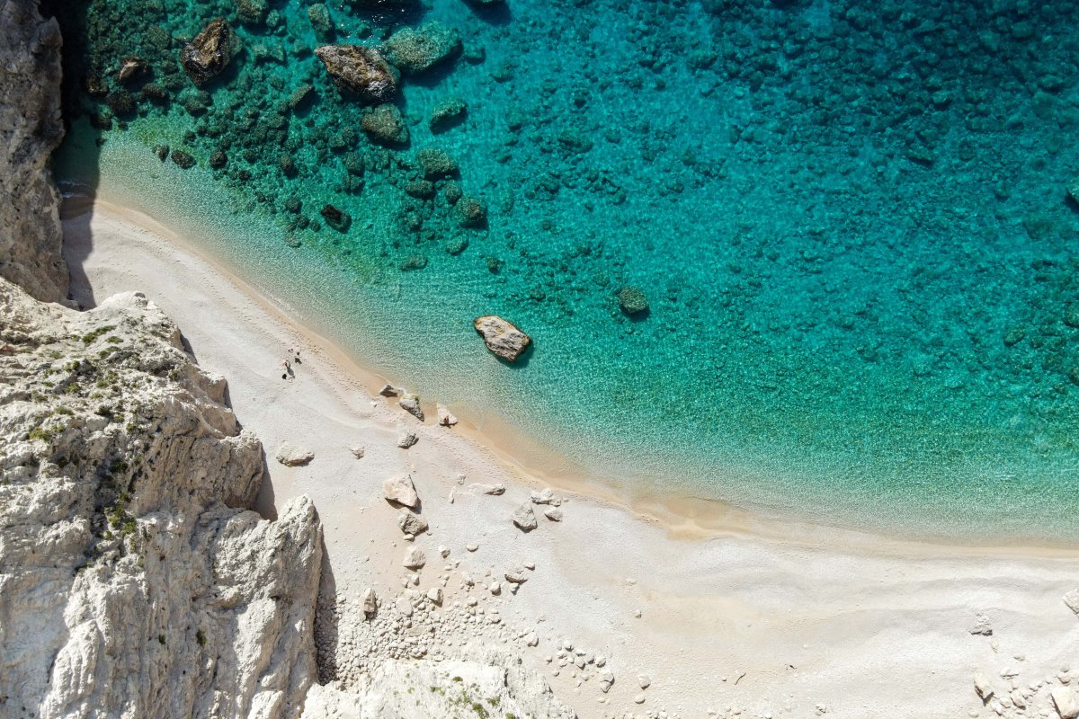 Λαγοκέφαλος δάγκωσε τουρίστρια στο Καλαμάκι Ζακύνθου ‑ Μεταφέρθηκε στο νοσοκομείο
